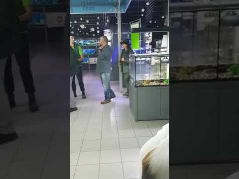 شاهد الملك محمد السادس يتجوّل في متجر الحيوانات الأليفة في فرنسا