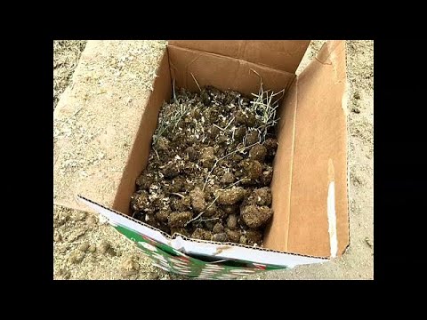 شاهد وزير الخزانة الأميركي يتلقى روث حيوانات كهدية لعيد الميلاد