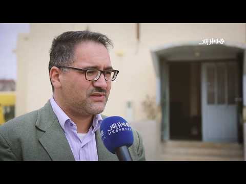 شاهد نبتة أزير ثروة طبيعية بمنطقة تازة