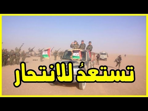 شاهد البوليساريو تستعد إلى مهاجمة المغرب عسكريًا