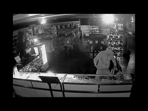 شاهد اقتحام وسرقة متجر لبيع الأسلحة في الولايات المتحدة