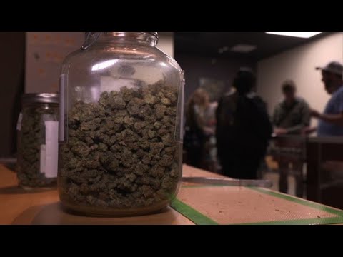 شاهد انطلاقة حماسية لتشريع الماريغوانا الترفيهية في كاليفورنيا