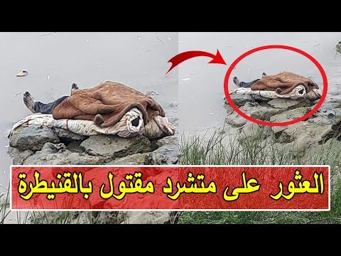 شاهد العثور على متشرد مقتول بجانب واد سبوا في القنيطرة
