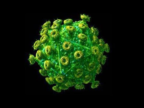 بالفيديو 6 حيوانات خطيرة جدًا عادت بعد انقراضها