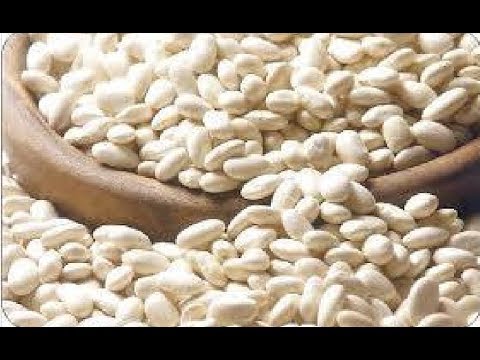 شاهد طريقة تخزين الفاصوليا البيضاء