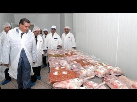 شاهد بلاغ مهم من وزارة أخنوش للمغاربة