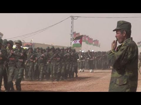 شاهد المغرب يُصعّد ضد البوليساريو