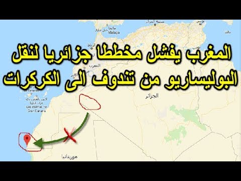 شاهد المغرب يفشل مخططًا جزائريًا لنقل البوليساريو