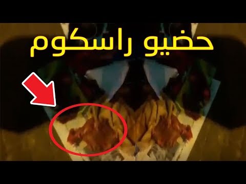 شاهد ضبط لحوم حمراء وأسماك فاسدة للبيع في مدينة البيضاء