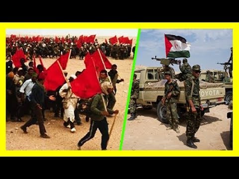 شاهد الأمين العام للأمم المتحدة يهاجم البوليسارو