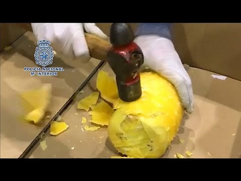 شاهد حجز مئات الكيلوغرامات من الأناناس الطازج المحشو بالكوكايين