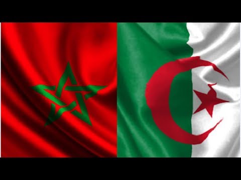 شاهد وزير مغربي يحلّ بالجزائر الأحد المقبل