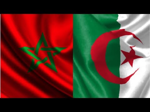 شاهد الجزائر بغيا تبرد القضية مع المغرب