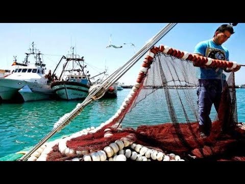 شاهد أخنوش يفاوض الاتحاد الأوروبي بخصوص الصحراء