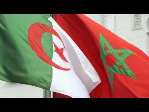 شاهد تجمع عالمي لفتح الحدود بين الجزائر والمغرب