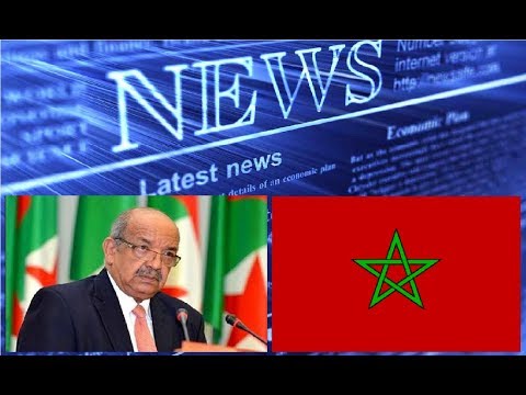 بالفيديو مساهل يُظهر وجه الجزائر الحقيقي