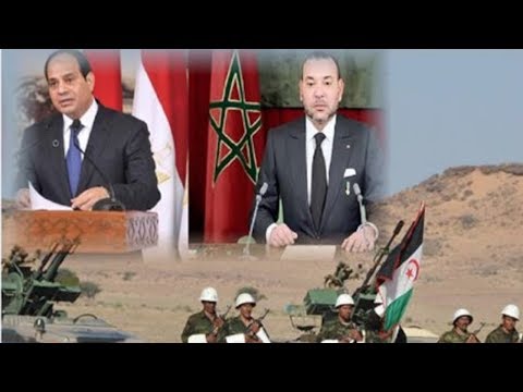 شاهد هذا ما أعلنته جبهة البوليساريو والسيسي يدخل على الخط