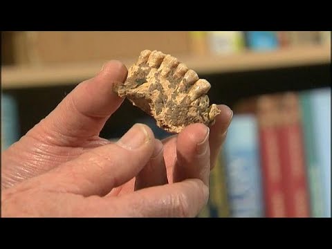 شاهد اكتشاف رفات إنسان تعود إلى أكثر من 170 ألف عام في إسرائيل