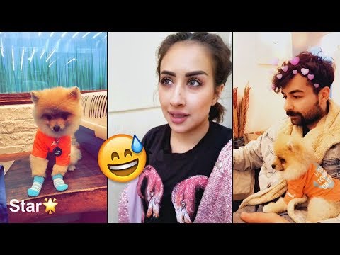 فرح الهادي وعقيل يتهاوشون