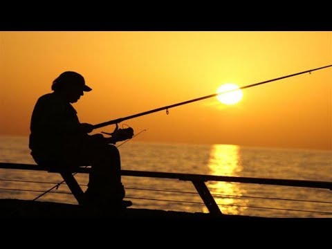 شاهد صياد يلقي بسنارته ليصطاد السمك ليجد طفلة رضيعة