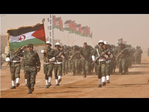 شاهد البوليساريو تطالب بـ220 مليار سنتيم سنويًّا عن ثروات الصحراء