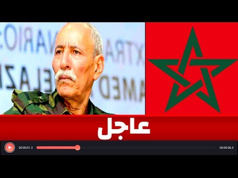 شاهد هجوم سياسي مغربي يسقط مناورات البوليساريو