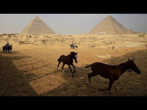 شاهد مصر تعلن العثور على مقبرة فرعونية لكاهنة ذات شأن رفيع