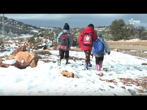 شاهد الدراسة تتوقف في هذه المناطق المغربية