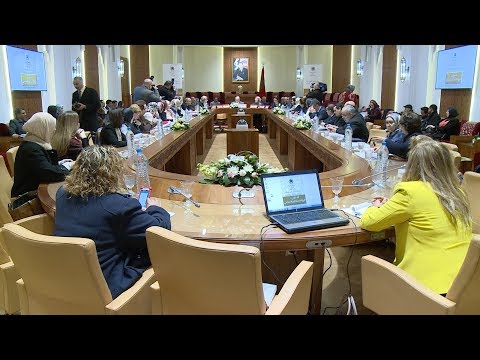 شاهد لقاء في مجلس النواب المغربي عن ميزانية النوع الاجتماعي