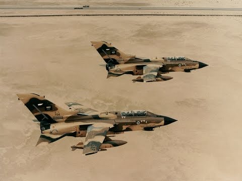 شليمي يؤكد ضرورة  استخدام القوة للموازنة السياسية بالمنطقة