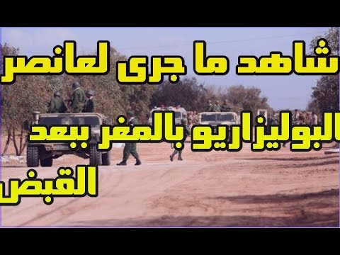 شاهد مصير  عناصر البوليساريو الذين تمّ القبض عليهم في المغرب