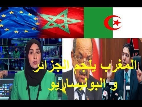 شاهد ردة فعل المغرب القوية تجاه الجزائر والبوليساريو