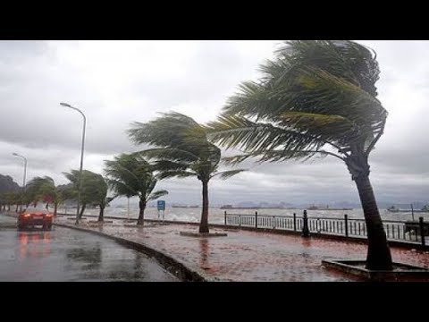 شاهد الأمطار تعود بقــوة وهذه هي المناطق المعنية