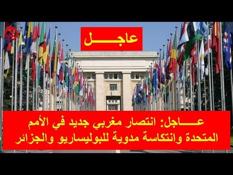 شاهد انتصار مغربي جديد في الأمم المتحدة وانتكاسة مدوية للبوليساريو والجزائر