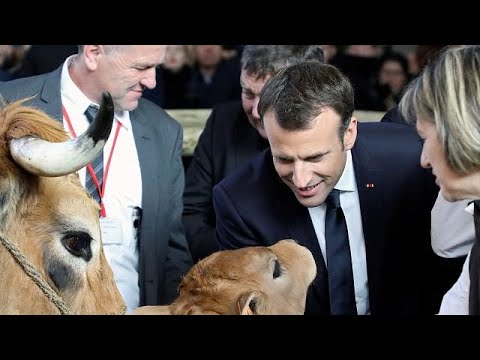 شاهد نشطاء يستقبلون ماكرون بصيحات الاستهجان