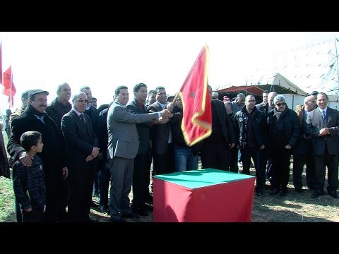 عمالة وجدة أنجاد تطلق مشروع غرس أشجار الزيتون