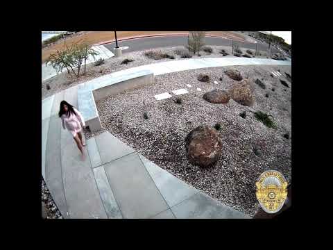 شاهد سارقان يهربان من الشرطة إلى مقرها