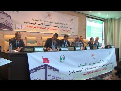 هيئات للتمويل والتأمين تناقش تحسين خدمات القرض والتأمينات الزراعية