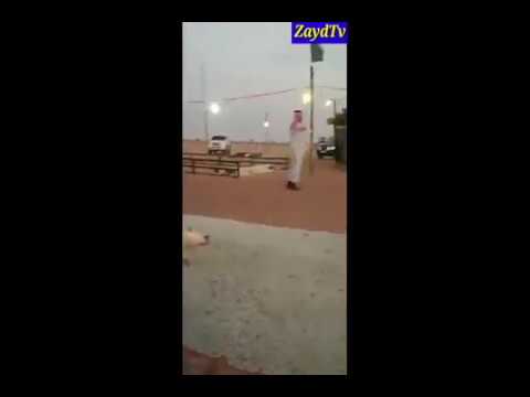 كلب يقلد الأذان في السعودية