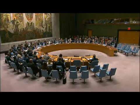 شاهد جلسة طارئة في مجلس الأمن بشأن الهدنة في سورية