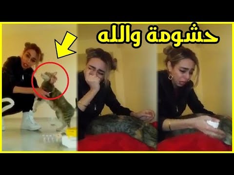 شاهد سيدة تدخل في نوبة بكاء عنيفة بسبب قطتها