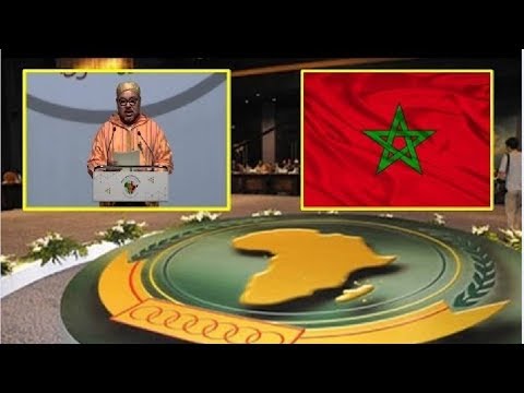 شاهدطعنة قاتلة تتلقاها البوليساريو من المغرب