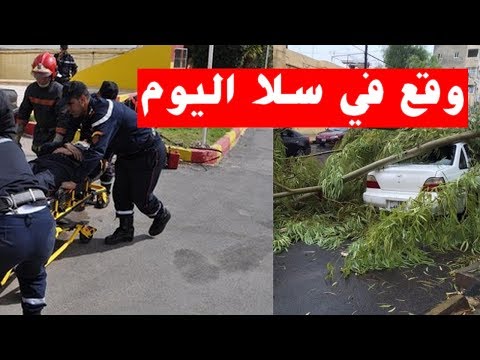 شاهد شجرة طاحت فوق المصلين في المغرب