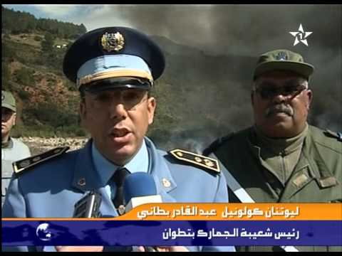 إتلاف أكثر من سبعة أطنان من المخدرات