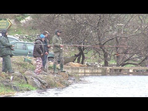 شاهدالانطلاق الرسمي لسيد الأسماك في المياه القارية