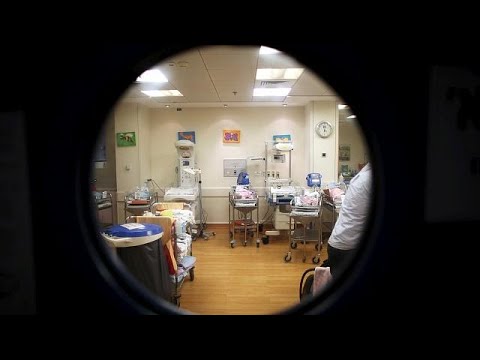 شاهد تل أبيب تكشف إحصاءات المواطنين في الأراضي المحتلة