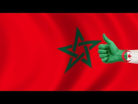 شاهد الجزائر تُعلن دعم ملف موروكو 2026 رسميًّا