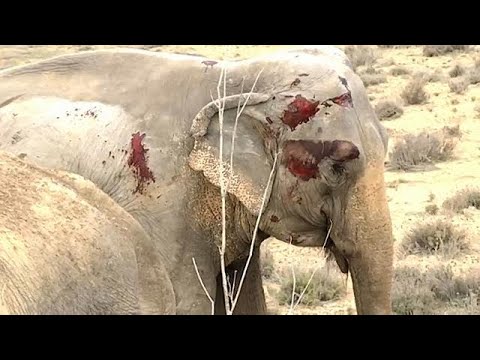 بالفيديو حادث مروري عنيف في إسبانيا