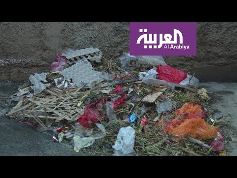 شاهدعلماء يطورون إنزيما من باكتيريا تتغذى على البلاستيك