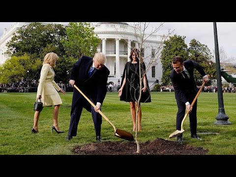 بالفيديوتعرّف على لغز اختفاء الشجرة التي زرعها ماكرون وترامب في البيت الأبيض